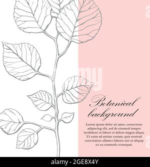 Natürlicher Hintergrund. Organische botanische Designvorlage. Handgezeichnete Vektordarstellung eines Zweiges mit Blättern Stock Vektor