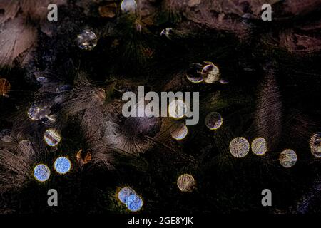 Frohe Weihnachten und guten Rutsch ins Neue Jahr Hintergrund mit Eis, Kugeln und Lichtern Stockfoto