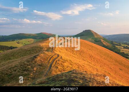 Golden Hour auf dem Lawley Ridge mit dem ikonischen Hügel Caer Caradoc voraus, Juli Shropshire Hills West Midlands Stockfoto