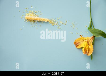 Festlicher minimalistischer Hintergrund mit gelben Alstroemeria-Blumen. Gelb funkelt. Party-Konzept. Speicherplatz kopieren. Hochwertige Fotos Stockfoto