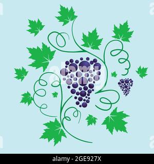 Eine Vektordarstellung einer Weinrebe mit einigen Blättern und Ästen. Stock Vektor