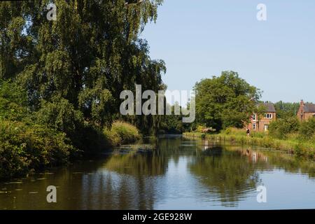 Eine jüngere Frau, die einen Hund entlang des Leeds & Liverpool Kanals in der Nähe von Burscough in Lancashire läuft Stockfoto