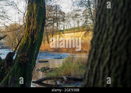 Schöner Blick auf einen See mit trockenen Büschen am Ufer und alten moosigen Bäumen an einem sonnigen Tag Stockfoto