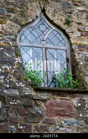 Verzierte Fenster von Berkeley Castle in Gloucestershire England Stockfoto