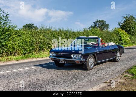 Schwarzer Chevrolet Chevy Corvair aus den 1965 60er Jahren mit 2700 ccm Benzin auf dem Weg zur Capesthorne Hall Classic Car Show im Juli in Cheshire, Großbritannien Stockfoto