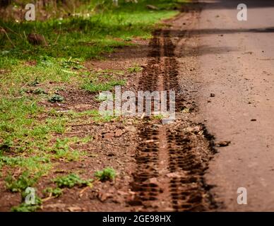 Reifenpannungsabdruck auf der Oberfläche des Bodenschlamms in der Nähe der Straße während der Nachmittagssonne. Selektiver Fokus verwendet. Stockfoto