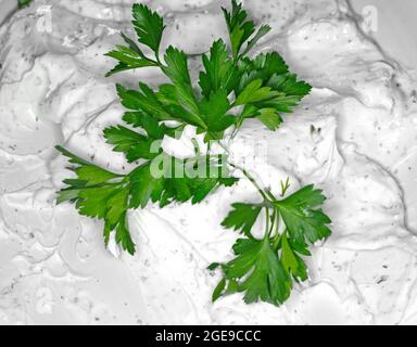 Tzatziki – traditionelle griechische Joghurtsoße. Tzatziki - Joghurtsauce mit Gurke und Dill. Traditionelle köstliche Vorspeise; Tzatziki (türkischer Name; c Stockfoto