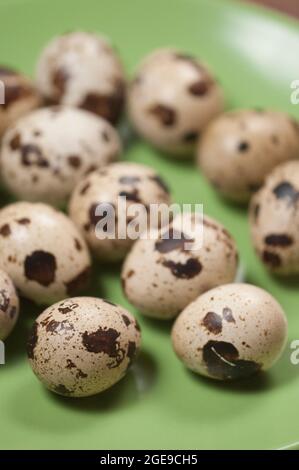 Wachteln Sie Eier auf einer grünen Keramikplatte, Nahaufnahme Stockfoto
