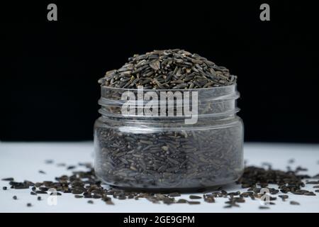 Schwarze Leinsamen im Glas, Linum usitatissimum, Satara, Maharashtra, Indien Stockfoto