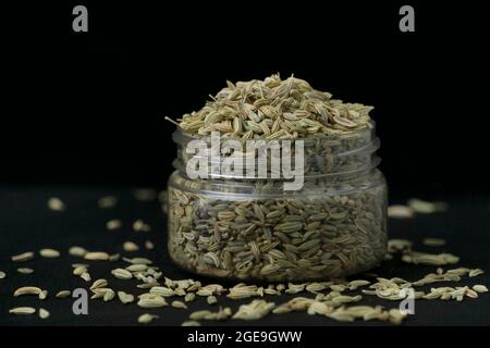 Große Fenchelsamen im Glas, Foeniculum vulgare, Satara, Maharashtra, Indien Stockfoto