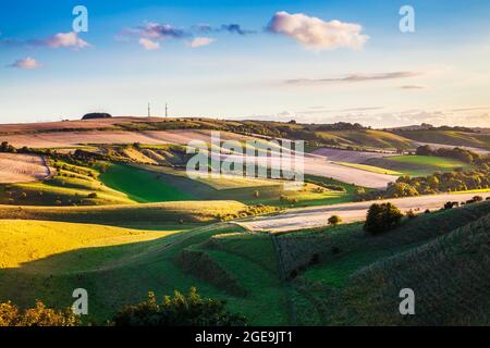 Abendlicht über die Wiltshire Landschaft in Richtung Morgan Hill. Stockfoto