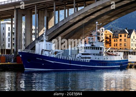 Fischereifahrzeug umgebaut, jetzt Cargo/fish oil Tanker und service Schiff Hordafor III. Im Hafen von Bergen, Norwegen. Stockfoto