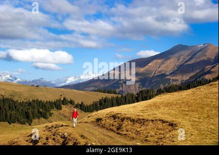 FRANKREICH, HAUTE-SAVOIE (74) MONT-BLANC-LAND, MEGEVE-GEBIET, WANDERN BIS SEHR PASS, DIE AIGUILLE CROCHE UND MONT JOLY BERG MIT DEM MASSIV DES MONT-BL Stockfoto