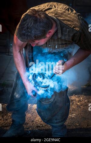 Ein Anschmied bei der Arbeit, der ein Pferd heiß beschlagen hat. Stockfoto