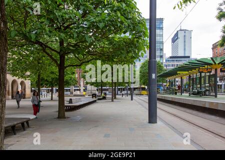 St. Peter's Square und Foxglove Trees, Manchester, Großbritannien Stockfoto