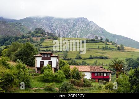 Landschaftlich schöner Blick auf das Tal in Asturien mit traditionellen Bauernhäusern und grünen Wiesen an einem nebligen Tag. La Goleta, Pilona, Spanien Stockfoto