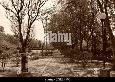 Wanderweg am Topiary Park in Panchkula, Indien. Stockfoto