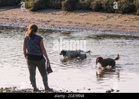 Eine Frau, die mit ihren Hunden am Flussufer steht, genießt es, im Fluss auf dem Gannel in Newquay in Cornwall zu sein. Stockfoto