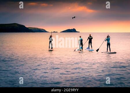 Eine Möwe fliegt über eine Gruppe von Stand Up Paddlebardern, die im Abendlicht in Newquay in Cornwall über die Fistral Bay paddeln. Stockfoto