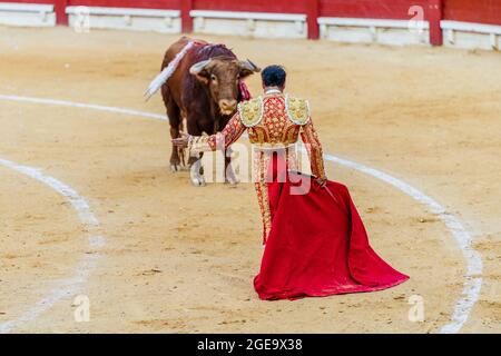 Rückansicht eines nicht erkennbaren Stierkampfes in traditioneller Tracht und mit rotem Umhang, der während der Corrida mit einem wütenden Stier auf der Stierkampfarena auftrat Stockfoto