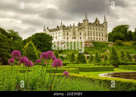 Lila Blumen im Garten von Dunrobin Castle. Stockfoto