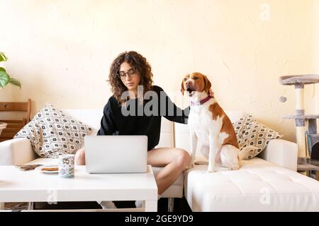 Junge hispanische Hündin streichelt Hund und Surfen im Internet auf Laptop, während Freizeit zusammen im Wohnzimmer verbringen Stockfoto