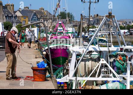 Trawler am Kai, Saint-Vaast la Hougue, Departement Manche, Cotentin, Region Normandie, Frankreich Stockfoto