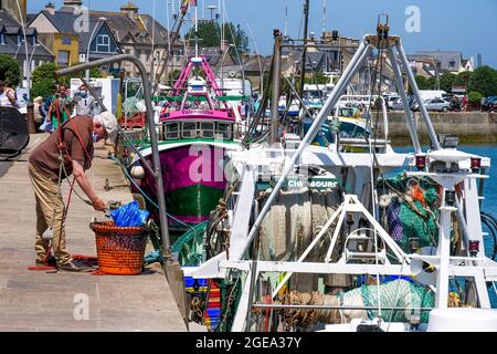 Trawler am Kai, Saint-Vaast la Hougue, Departement Manche, Cotentin, Region Normandie, Frankreich Stockfoto