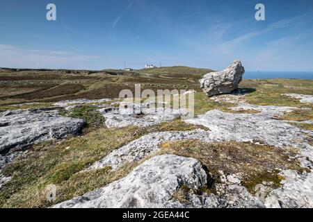 Great Ormes Head oder Pen y Gogarth in der Nähe von Llandudno an der Küste von Nordwales, Großbritannien, mit Blick auf den Gipfel Stockfoto