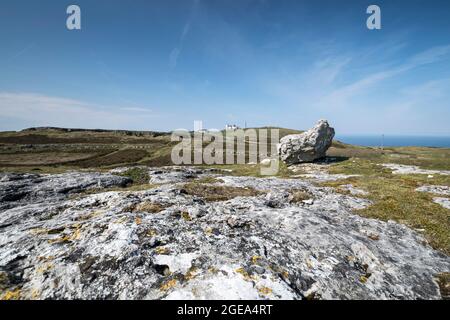 Great Ormes Head oder Pen y Gogarth in der Nähe von Llandudno an der Küste von Nordwales, Großbritannien, mit Blick auf den Gipfel Stockfoto