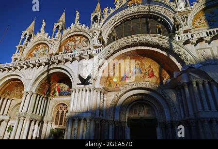 Möwen schweben am großen Gebäude der Markusbasilika in Venedig vorbei. Stockfoto