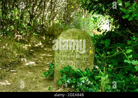 Steinrichtungsmarkierung auf einem Fußweg in Fossil Forest, Pepler's Point, Lulworth Cove, West Lulworth, Dorset, VEREINIGTES KÖNIGREICH Stockfoto