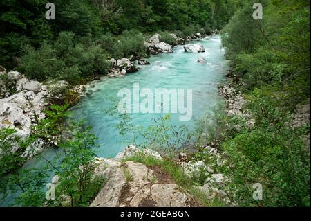 Blauer Fluss Soča mit kristallklarem Wasser im Soča-Tal (Slowenien) Stockfoto