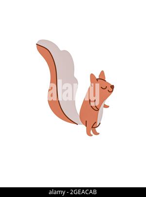 Cute Eichhörnchen isoliert auf weißem Hintergrund Stockfoto