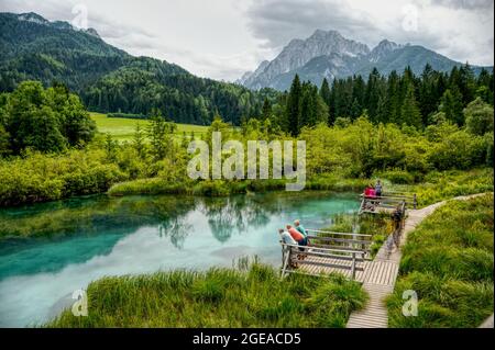 Zelenki Naturschutzgebiet in Slowenien - Blaue Seen und kristallklares Wasser in der Region Kranjska Gora Stockfoto