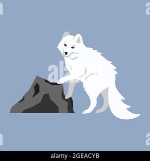 Schöne süße flauschige weißen arktischen Fuchs. Cartoon-Illustration eines wilden polaren Tieres aus der Tundra, Sibirien, Norden. Clipart, Element für Öko-Poster Stock Vektor