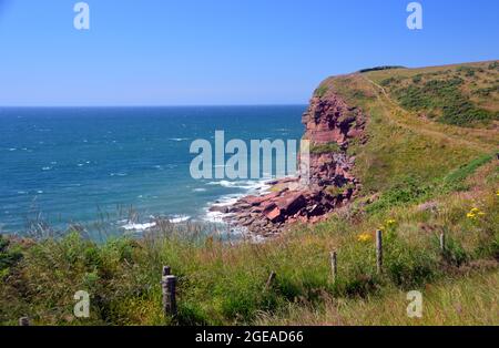 Die Red Sandstone Cliffs in St. Bees Fahren Sie auf dem Clifftop Coastal Path in der Nähe von St. Bees, Lake District National Park, Cumbria, England, Großbritannien. Stockfoto