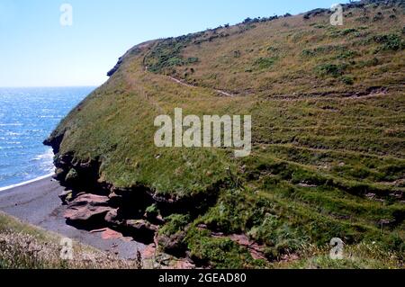 Die Red Sandstone Cliffs in Fleswick Bay auf dem Clifftop Coastal Path in der Nähe von St. Bees, Lake District National Park, Cumbria, England, Großbritannien. Stockfoto