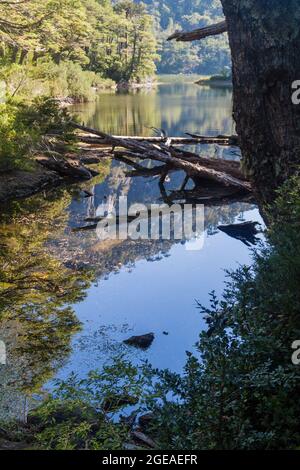 Lago Chico See im Nationalpark Huerquehue, Chile Stockfoto