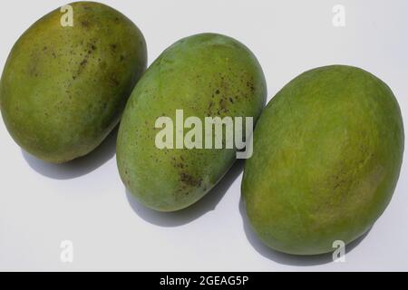 Köstliche Mango Sorte genannt Langda Mango Indian frische Früchte in weißem Hintergrund. Langra Mango ist von außen grün und von innen gelb Stockfoto