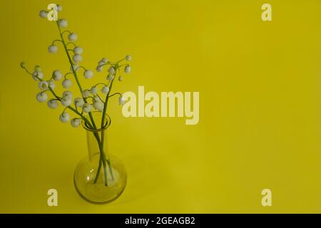 Ein kleiner Strauß Maiglöckchen blüht in einer kleinen Glasvase auf gelbem Grund Stockfoto
