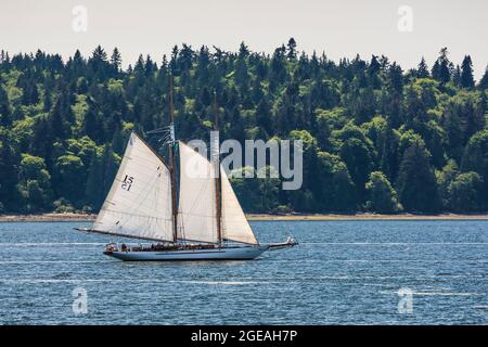 Schooner Adventuress segelt auf der Elliot Bay of Puget Sound in der Nähe von Seattle, Washington State, USA [nur redaktionelle Lizenzierung] Stockfoto