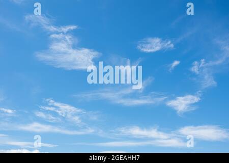 Kleine schöne Zirruswolken am blauen Himmel. Perfekter Hintergrund von blauem Himmel und weißen Wolken für Ihre Fotos, Design-Layout. Stockfoto