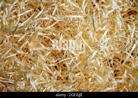 Holzhaarten nach der Holzbearbeitung. Nahaufnahme des Texturhintergrunds von oben Stockfoto