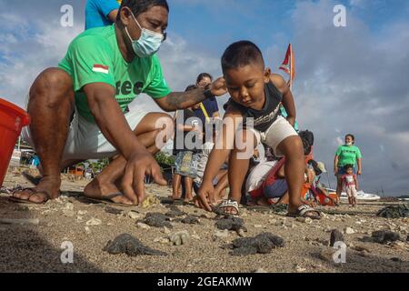 Bali, Indonesien. August 2021. Menschen aus dem Bali Turtle Conservation and Education Center lassen am Serangan Beach in Bali, Indonesien, am 18. August 2021 kleine Olive Ridley Meeresschildkröten (Lepidochelys olivacea) frei. Quelle: Bisinglasi/Xinhua/Alamy Live News Stockfoto