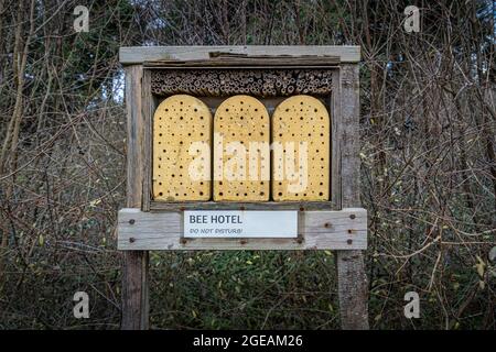 Hotelunterkunft für Bienen, aus Holz Stockfoto