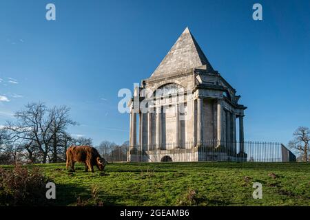 Eine Hochlandkuh, die vor dem Darnley Mausoleum grast, einem restaurierten Mausoleum aus dem 18. Jahrhundert in einem friedlichen öffentlichen Wald. In Kent, Großbritannien Stockfoto