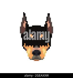 Dobermann-Kopf im Pixel-Art-Stil. Hundesymbol. Vektorgrafik. Stock Vektor