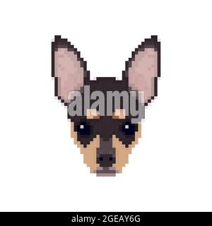 Chihuahua Kopf im Pixel Art Stil. Vektorgrafik Hund. Stock Vektor