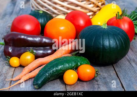 Frisches Gemüse. Anbau von Tomaten, Gurken, Paprika und Zucchini Stockfoto